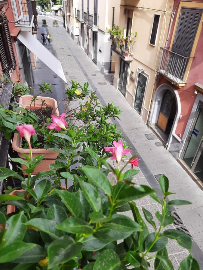 Apartament Moonlight House Pozzuoli Zewnętrze zdjęcie